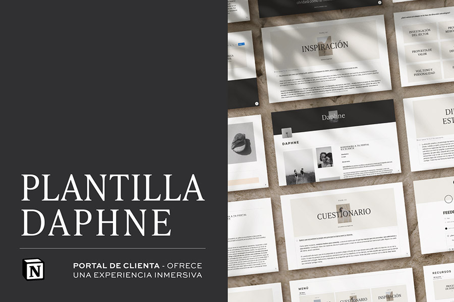 daphne peach estudio entre estudios