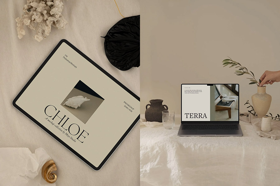 moyo estudio entre estudios